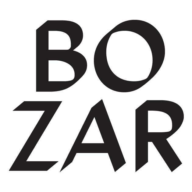BOZAR, Young Talent in Action partner